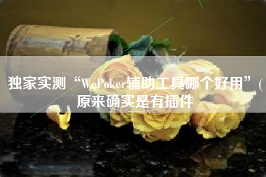 独家实测“WePoker辅助工具哪个好用”(原来确实是有插件