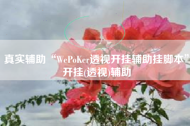 真实辅助“WePoKer透视开挂辅助挂脚本”开挂(透视)辅助