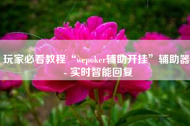 玩家必看教程“wepoker辅助开挂”辅助器 - 实时智能回复