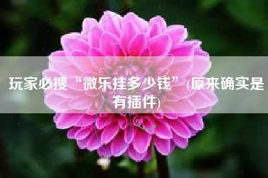 玩家必搜“微乐挂多少钱	”(原来确实是有插件)