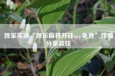 独家实测“微乐麻将开挂app免费”详细分享装挂