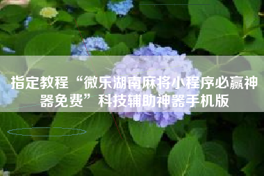 指定教程“微乐湖南麻将小程序必赢神器免费”科技辅助神器手机版