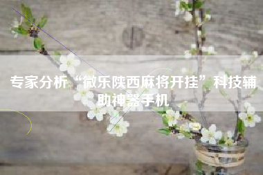 专家分析“微乐陕西麻将开挂	”科技辅助神器手机