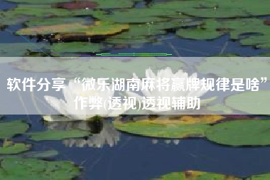 软件分享“微乐湖南麻将赢牌规律是啥”作弊(透视)透视辅助