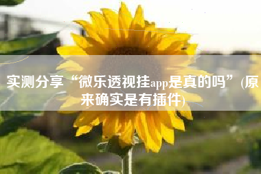 实测分享“微乐透视挂app是真的吗	”(原来确实是有插件)