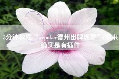 3分钟教程“wepoker德州出牌规律”(原来确实是有插件