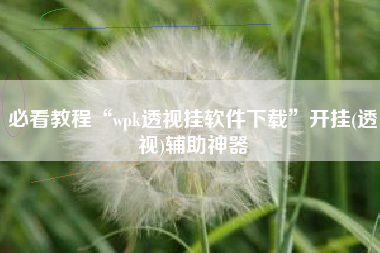 必看教程“wpk透视挂软件下载	”开挂(透视)辅助神器