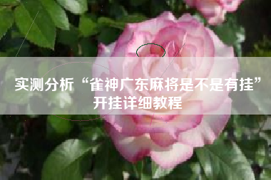 实测分析“雀神广东麻将是不是有挂”开挂详细教程