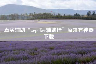 真实辅助“wepoKer辅助挂”原来有神器下载