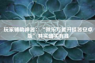 玩家辅助神器：“微乐万能开挂器安卓版”其实确实有挂