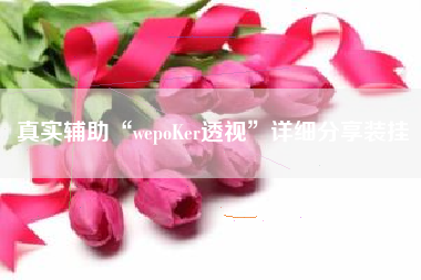 真实辅助“wepoKer透视”详细分享装挂
