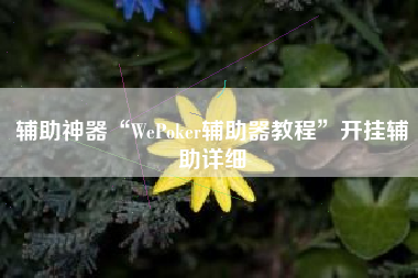 辅助神器“WePoker辅助器教程”开挂辅助详细