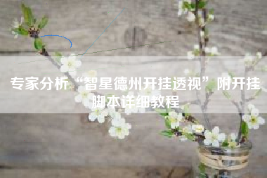 专家分析“智星德州开挂透视	”附开挂脚本详细教程