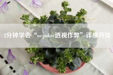 3分钟学会“wepoker透视作弊”详细开挂