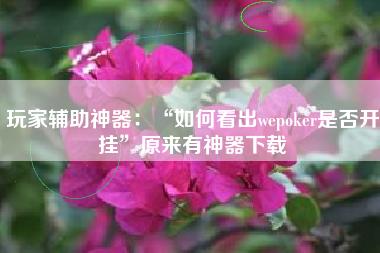 玩家辅助神器：“如何看出wepoker是否开挂”原来有神器下载