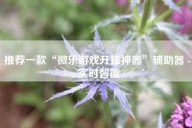 推荐一款“微乐游戏开挂神器”辅助器 - 实时智能
