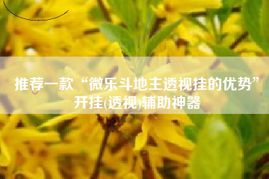 推荐一款“微乐斗地主透视挂的优势	”开挂(透视)辅助神器