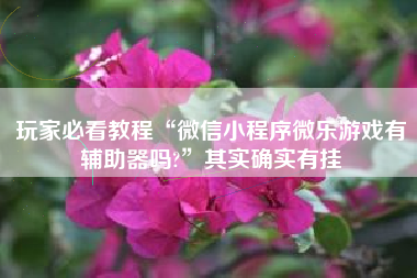 玩家必看教程“微信小程序微乐游戏有辅助器吗?	”其实确实有挂