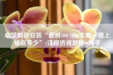 必学教你安装“德州500/1000大概一晚上输赢多少	”(详细透视教程)-知乎