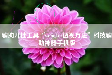 辅助开挂工具“wepoker透视方法	”科技辅助神器手机版