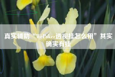 真实辅助“WePoker透视挂怎么用	”其实确实有挂