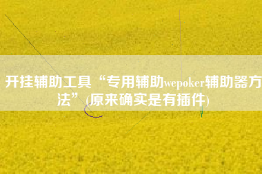 开挂辅助工具“专用辅助wepoker辅助器方法	”(原来确实是有插件)