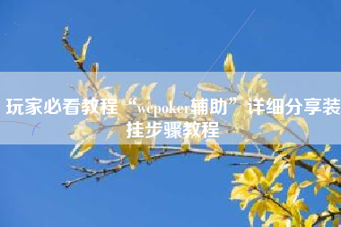 玩家必看教程“wepoker辅助”详细分享装挂步骤教程