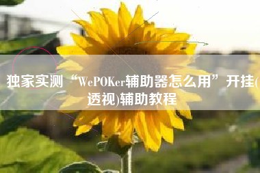 独家实测“WePOKer辅助器怎么用	”开挂(透视)辅助教程