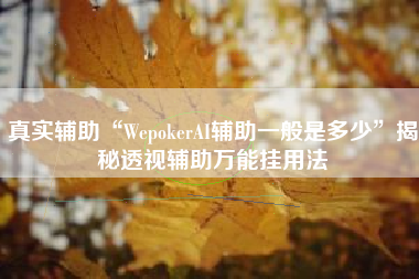 真实辅助“WepokerAI辅助一般是多少	”揭秘透视辅助万能挂用法