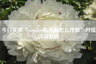 今日实测“wepoker私人局怎么作弊	”开挂详细教程