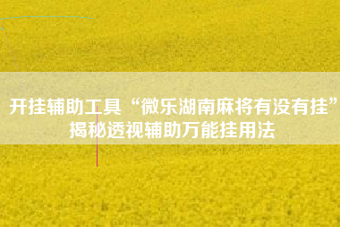 开挂辅助工具“微乐湖南麻将有没有挂”揭秘透视辅助万能挂用法