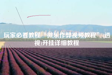 玩家必看教程“微乐作弊视频教程”(透视)开挂详细教程