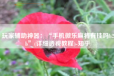 玩家辅助神器：“手机微乐麻将有挂吗b2b	”(详细透视教程)-知乎