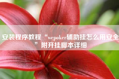 安装程序教程“wepoker辅助挂怎么用安全”附开挂脚本详细