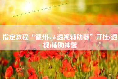 指定教程“德州wpk透视辅助器”开挂(透视)辅助神器