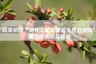 玩家必搜“德扑之星看牌器免费透视挂”(曝光透视必备猫腻