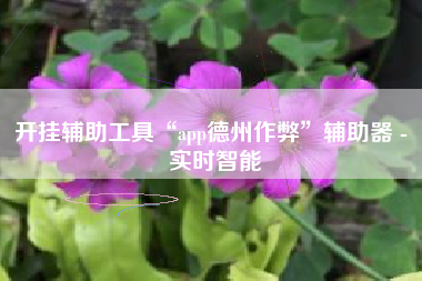 开挂辅助工具“app德州作弊	”辅助器 - 实时智能