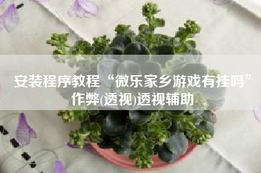 安装程序教程“微乐家乡游戏有挂吗	”作弊(透视)透视辅助