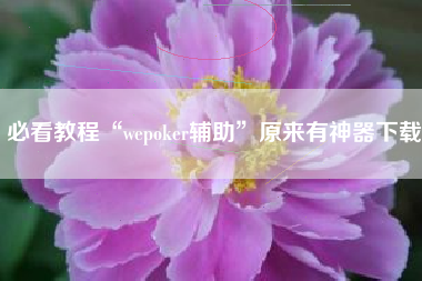 必看教程“wepoker辅助”原来有神器下载
