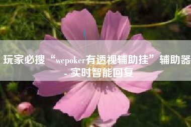 玩家必搜“wepoker有透视辅助挂”辅助器 - 实时智能回复