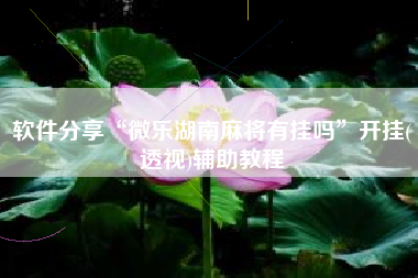 软件分享“微乐湖南麻将有挂吗	”开挂(透视)辅助教程