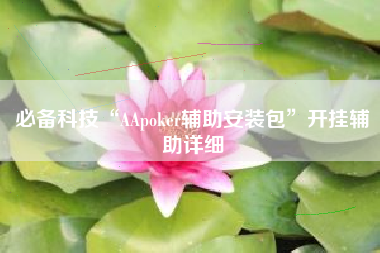 必备科技“AApoker辅助安装包”开挂辅助详细