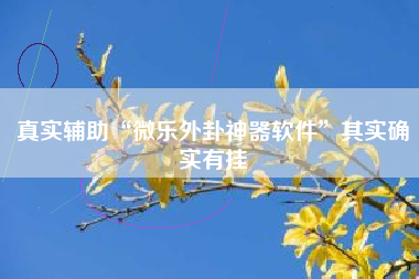 真实辅助“微乐外卦神器软件”其实确实有挂