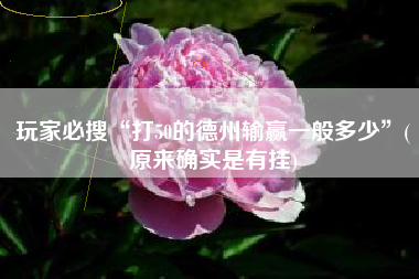 玩家必搜“打50的德州输赢一般多少	”(原来确实是有挂)