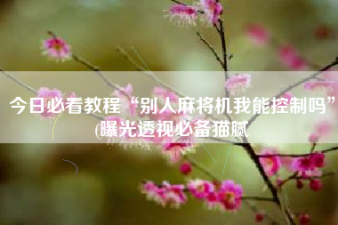 今日必看教程“别人麻将机我能控制吗”(曝光透视必备猫腻