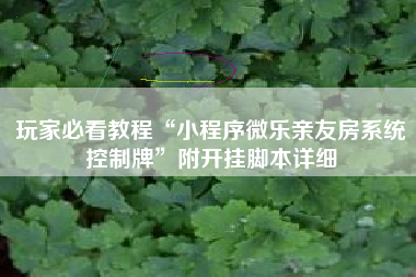 玩家必看教程“小程序微乐亲友房系统控制牌	”附开挂脚本详细