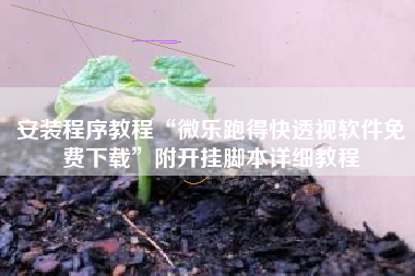 安装程序教程“微乐跑得快透视软件免费下载”附开挂脚本详细教程
