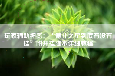 玩家辅助神器：“德扑之星到底有没有挂	”附开挂脚本详细教程