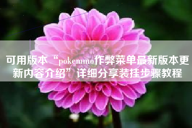 可用版本“pokemmo作弊菜单最新版本更新内容介绍”详细分享装挂步骤教程