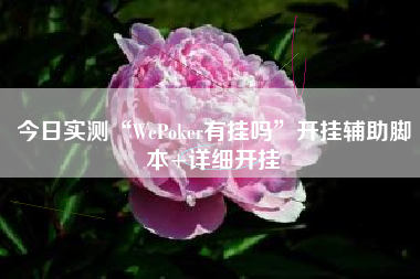 今日实测“WePoker有挂吗”开挂辅助脚本+详细开挂
